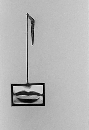 Lippenpendel
                  by Hofstetter Kurt 1982/2023